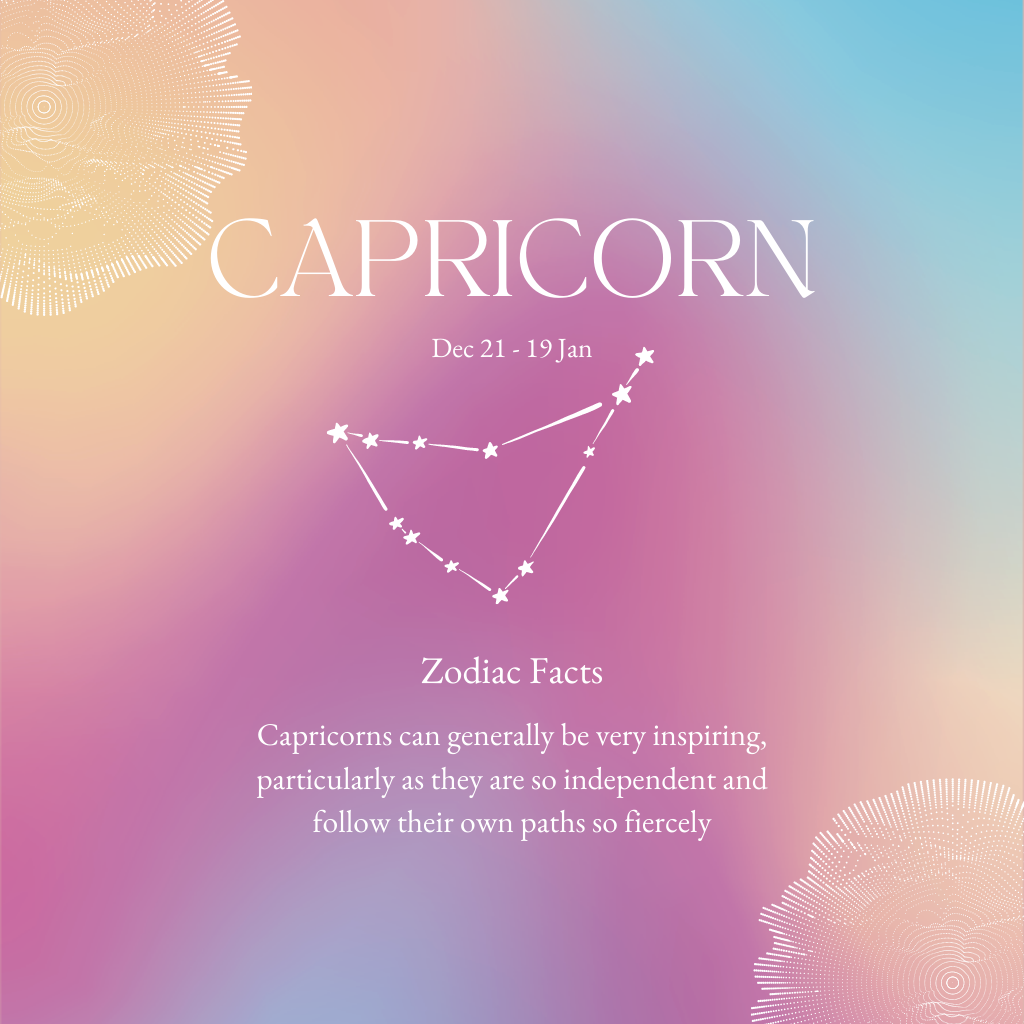 Capricorn Constellation Necklace Rose Gold